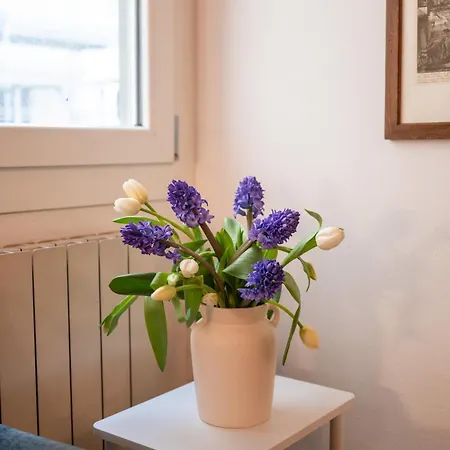 公寓 San Niccolo Luxury House 佛罗伦萨